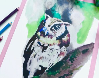 Cute Owl Wildlife Watercolor Painting Art Print