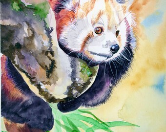 Red Panda in Tree, Giclee Print, Christmas Present, Gift for Nature Lover