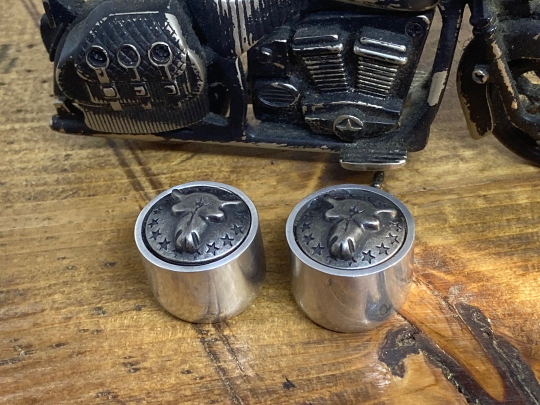 Southwestern Skull Guitar Knobs Etsy