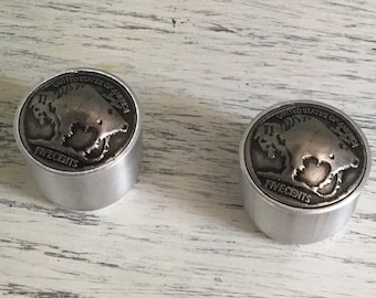 Silver toned buffalo nickel guitar knobs. Please read the description.
