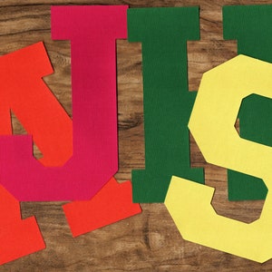 May include: Red, pink, green and yellow felt letters spelling out the word "NJS".
