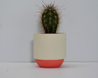 Handmade Espresso Cup - small plant cactus and succulent pot - contemporary ceramics porcelain red and grey sake cup gift for her