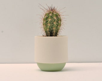 Handmade Plant Pot - small cactus and succulent pot - Espresso cup contemporary ceramics porcelain green and white sake cup gift for her