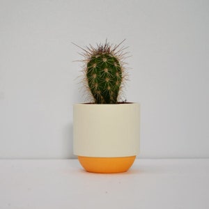 Handmade Plant Pot small plant cactus and succulent pot espresso cup contemporary ceramics porcelain orange and white cup gift for her image 1