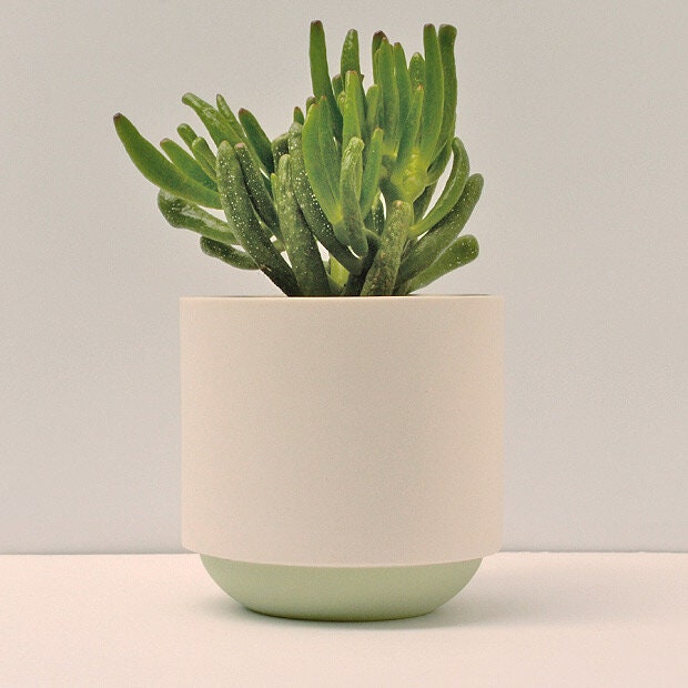 Handmade Desk Planter 9cm Pot Green and White Porcelain. - Etsy