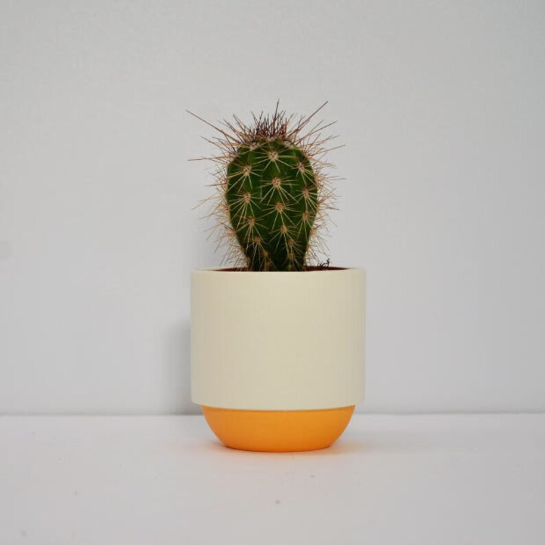 Handmade Plant Pot small plant cactus and succulent pot espresso cup contemporary ceramics porcelain orange and white cup gift for her image 1