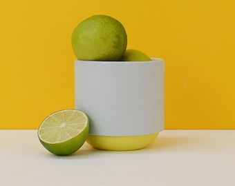 porcelain indoor plant pot with yellow base and gray body