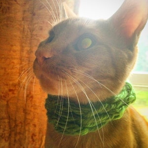 Knitted Cat Scarf Collar