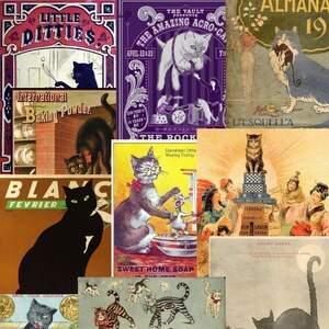 15 different Vintage Ephemera Cat Images Scrapbook Junk journal - advertisement and posters - Instant digital download