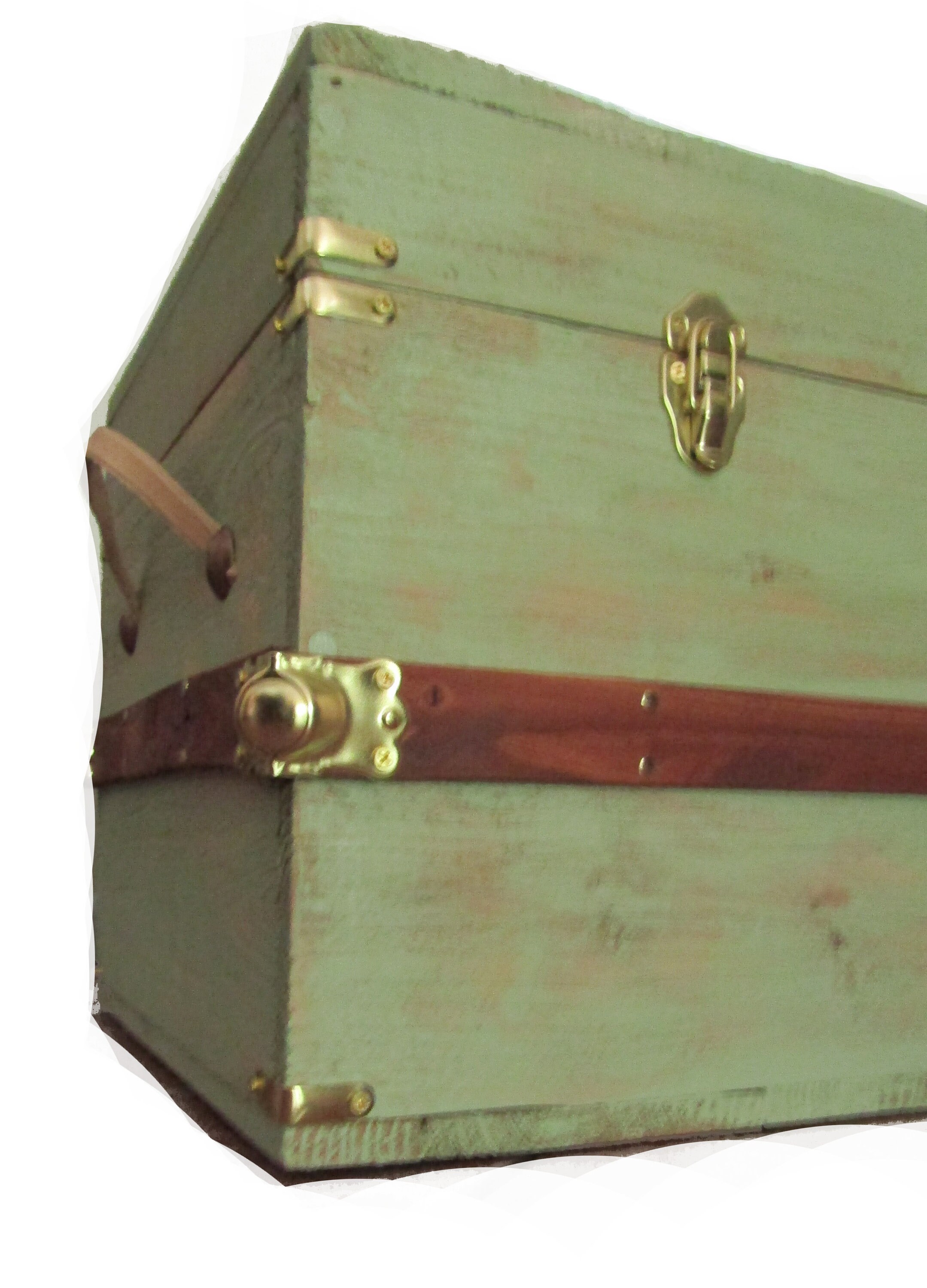 Rustic Hope Chest Coffee Table Steamer Trunk in Sage Green Etsy