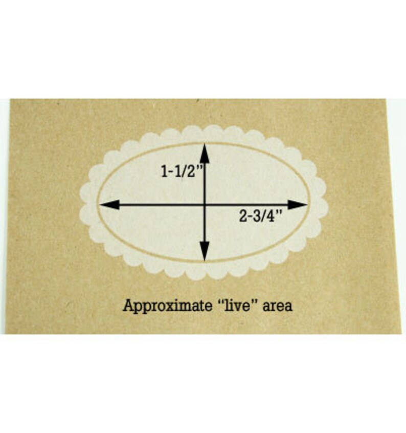 Shield 10 White on Brown Medium Paper Food Safe Craft Favor Bags Scalloped /& Notched