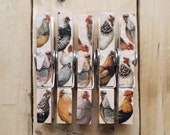 Decoupage Clothespin Magnets, Memo Magnets, Fridge Magnets, Chicken Magnets, Chickens 4, Chicken Lover Gift, Quirky Decor, Barnyard Gift.