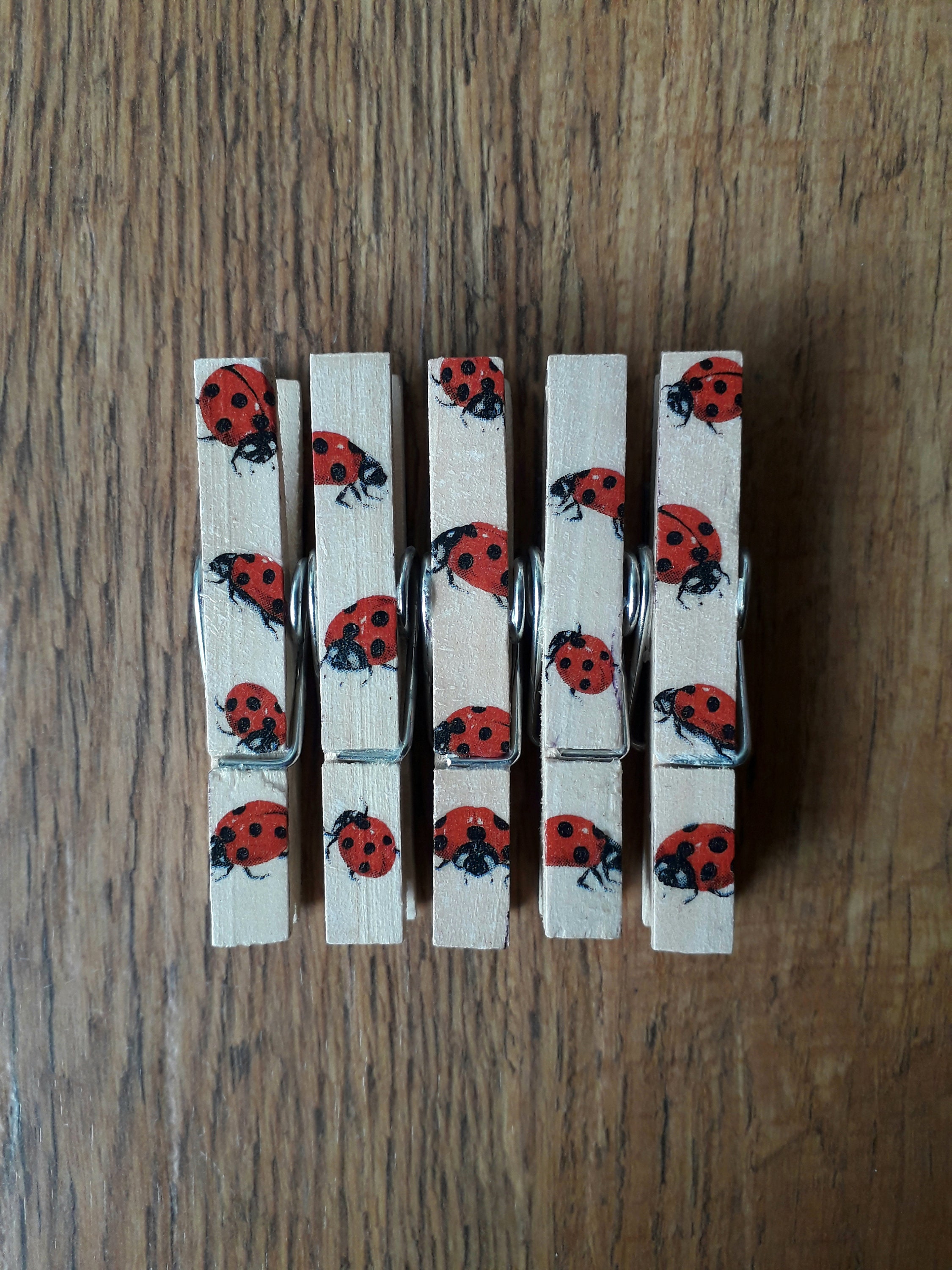 Decoupage Clothespin Memo Fridge Etsy