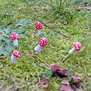 Miniature Mushrooms, Set of Five Tiny Mushroom Pins, Red and White Mushrooms, Fairy Garden Accessories, Tiny Toadstools, Fairy Toadstools image 4