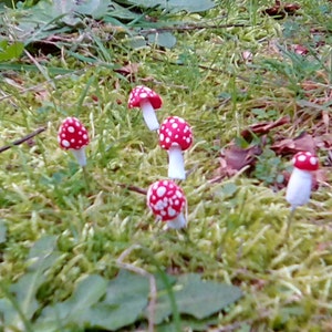 Miniature Mushrooms, Set of Five Tiny Mushroom Pins, Red and White Mushrooms, Fairy Garden Accessories, Tiny Toadstools, Fairy Toadstools image 3