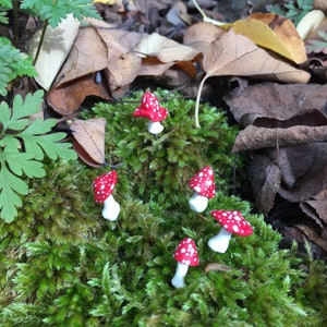 Miniature Mushrooms, Set of Five Tiny Mushroom Pins, Red and White Mushrooms, Fairy Garden Accessories, Tiny Toadstools, Fairy Toadstools image 7