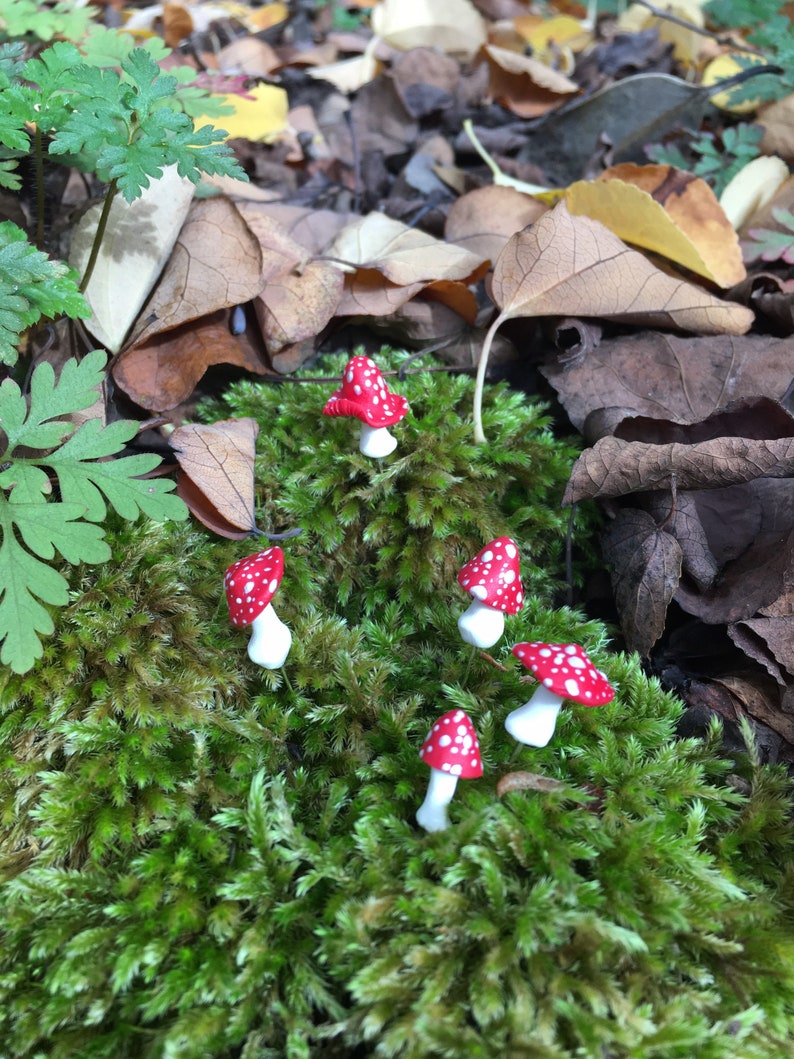 Miniature Mushrooms, Set of Five Tiny Mushroom Pins, Red and White Mushrooms, Fairy Garden Accessories, Tiny Toadstools, Fairy Toadstools image 7