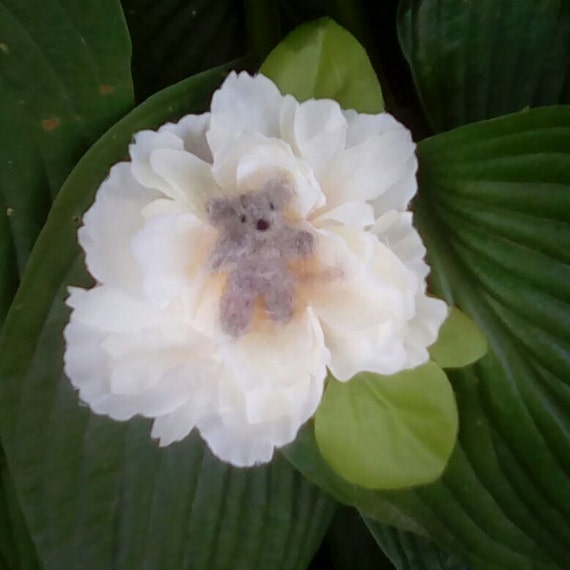 Felted Baby Mouse In White Peony Flower Tiny Gray Needle Etsy Felted Baby Mouse In White Peony Flower Tiny Gray Needle Etsy