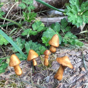 Gold Miniatur Pilze, Set von fünf goldenen winzigen Pilznadeln, Feen Garten Zubehör, Winzige Fliegenpilze, Polymer Fairy Toadstools,