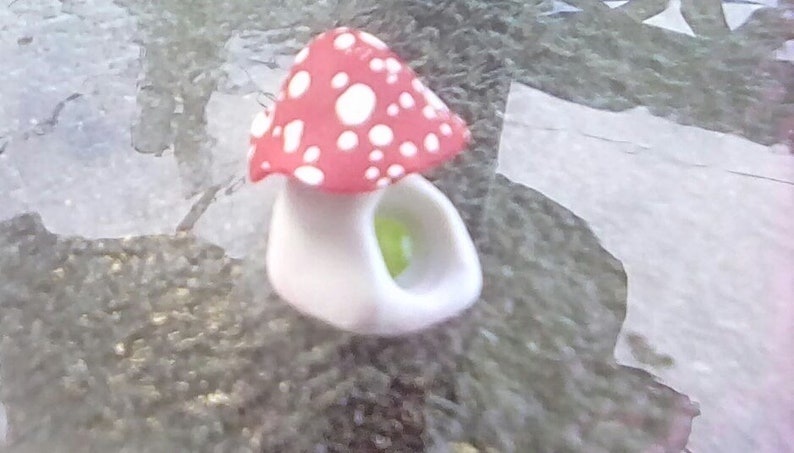 Miniatur Hohl Pilz Kleine Pilz Mit Loch Pilz Haus Roten Und Etsy