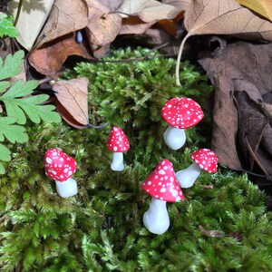 Miniature Mushrooms, Set of Five Tiny Mushroom Pins, Red and White Mushrooms, Fairy Garden Accessories, Tiny Toadstools, Fairy Toadstools image 9