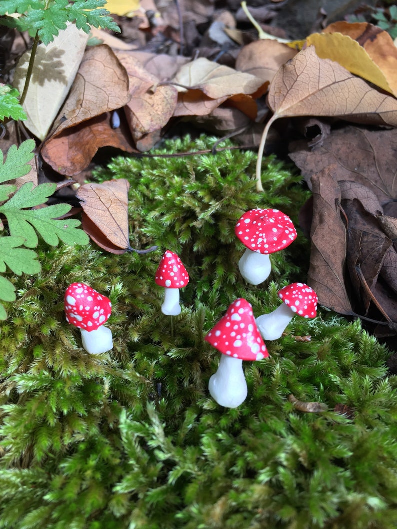 Miniature Mushrooms, Set of Five Tiny Mushroom Pins, Red and White Mushrooms, Fairy Garden Accessories, Tiny Toadstools, Fairy Toadstools image 9