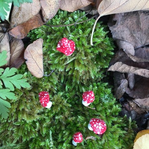 K&ouml;nnte beinhalten: Eine Gruppe roter und wei&szlig;er Pilzfiguren auf einem Bett aus gr&uuml;nem Moos. Die Pilze sind in einem Halbkreis angeordnet, wobei der gr&ouml;&szlig;te Pilz in der Mitte steht.