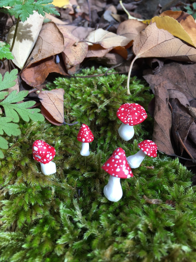 Miniature Mushrooms, Set of Five Tiny Mushroom Pins, Red and White Mushrooms, Fairy Garden Accessories, Tiny Toadstools, Fairy Toadstools image 1