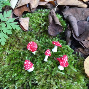 K&ouml;nnte beinhalten: F&uuml;nf rote und wei&szlig;e Miniaturpilze mit wei&szlig;en Punkten sind auf einem Bett aus gr&uuml;nem Moos angeordnet. Die Pilze sind aus Ton gefertigt und haben eine m&auml;rchenhafte, fantasievolle &Auml;sthetik.
