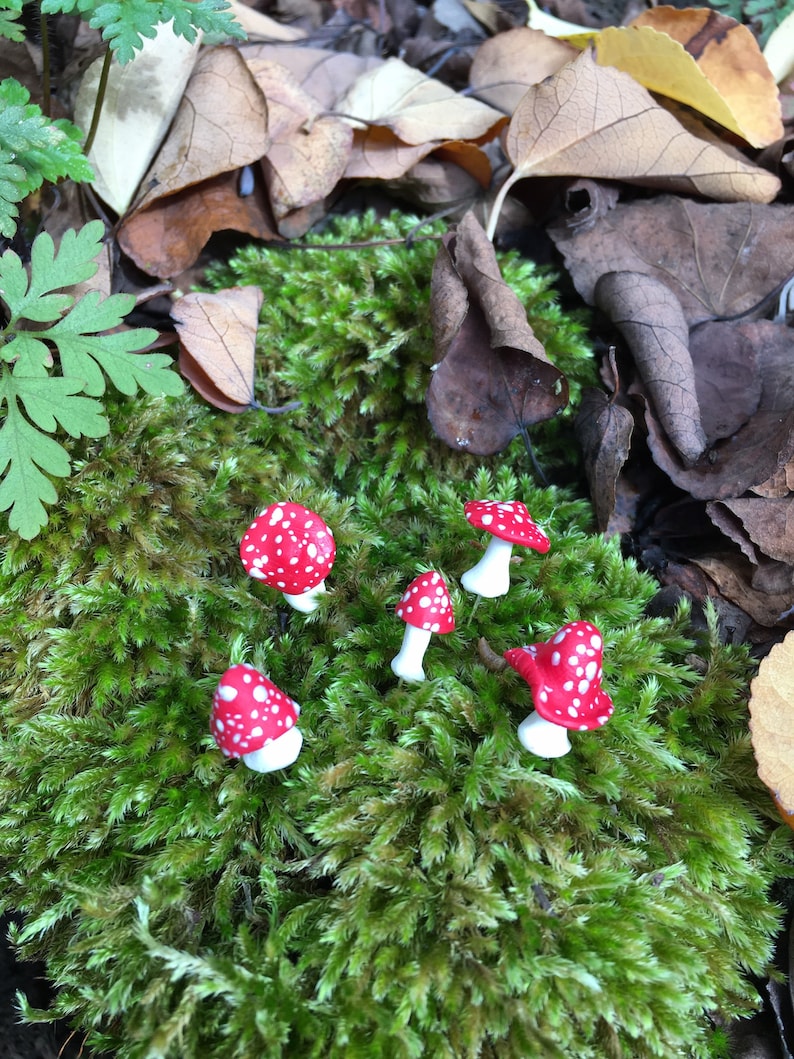 K&ouml;nnte beinhalten: F&uuml;nf rote und wei&szlig;e Miniaturpilze mit wei&szlig;en Punkten sind auf einem Bett aus gr&uuml;nem Moos angeordnet. Die Pilze sind aus Ton gefertigt und haben eine m&auml;rchenhafte, fantasievolle &Auml;sthetik.