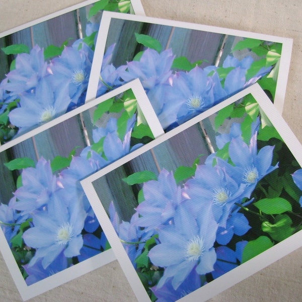 Four photo note cards - Floral note card set - Greeting cards - Gift card set  - Blank cards - Any occasion - Garden photos - Blue clematis