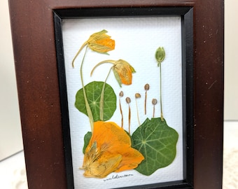 Framed pressed flower art, Nasturtium wall decor, Oriental look, Botanical artwork, Nature inspired gift