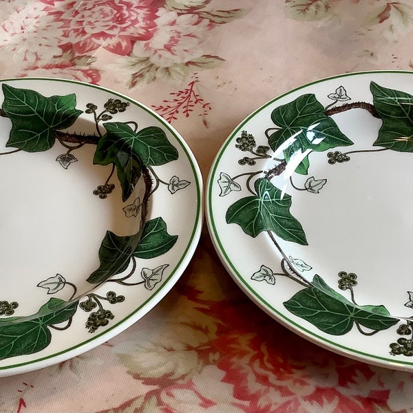 Set of 2 vintage Wedgewood Napoleon Ivy pattern bread and butter plates