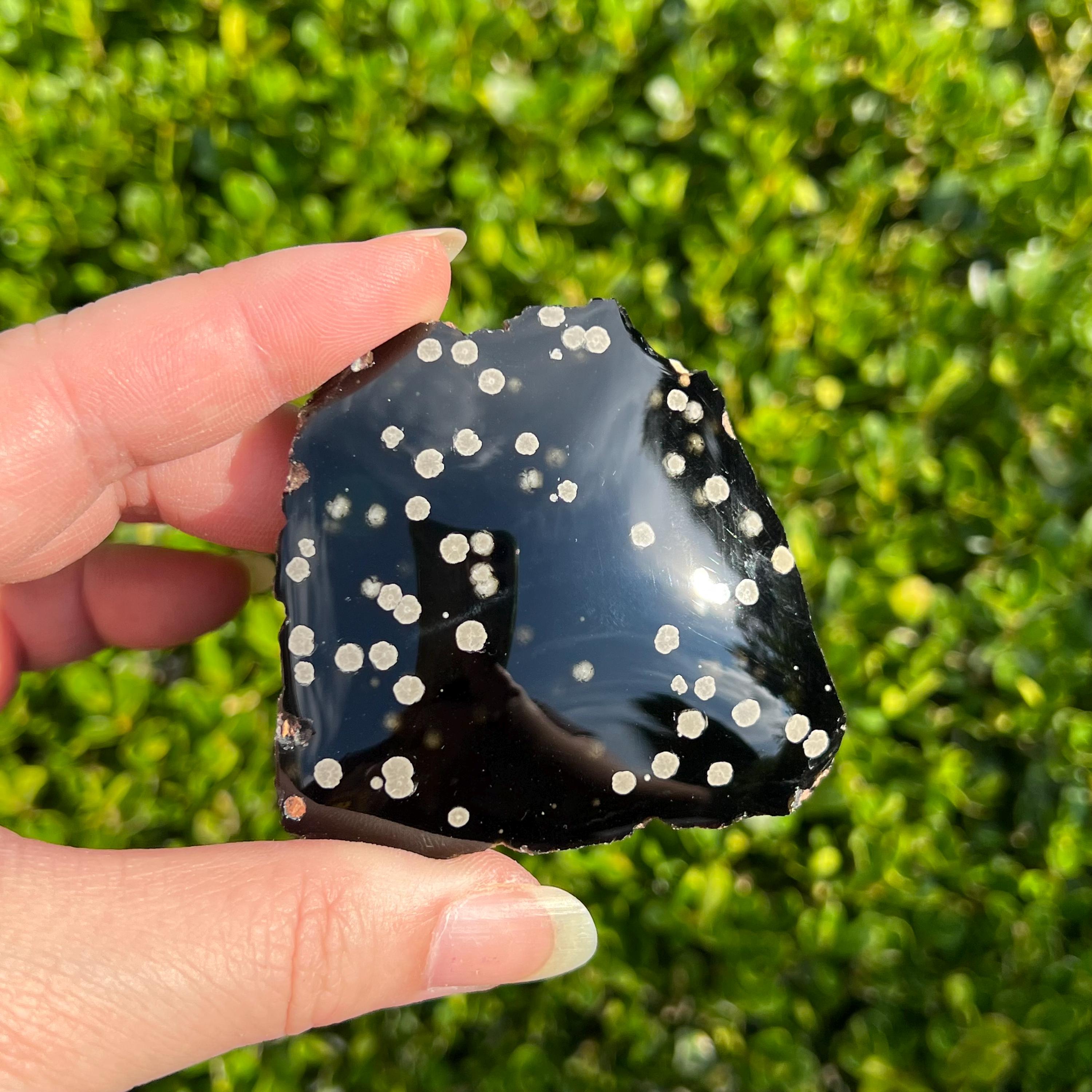 Paledusk - obsidian (廃盤) Stardust Obsidian Semi-polished Slab / Galaxy Obsidian / Snowflake