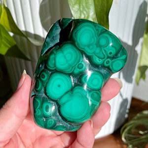 Malachite Semi-Polished Specimen / Congo Africa