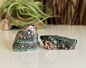 2pc Old Stock Ocean Jasper Tumbles