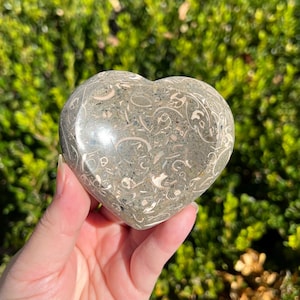 May include: A white ceramic mug with a black handle and the text "But First, Coffee" in a bold, black font. The mug is set against a blurred background, suggesting a cozy setting.