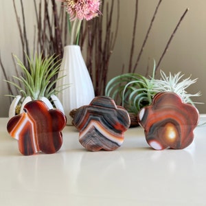 You Choose / Carnelian Flower / Banded Carnelian Flower Carving