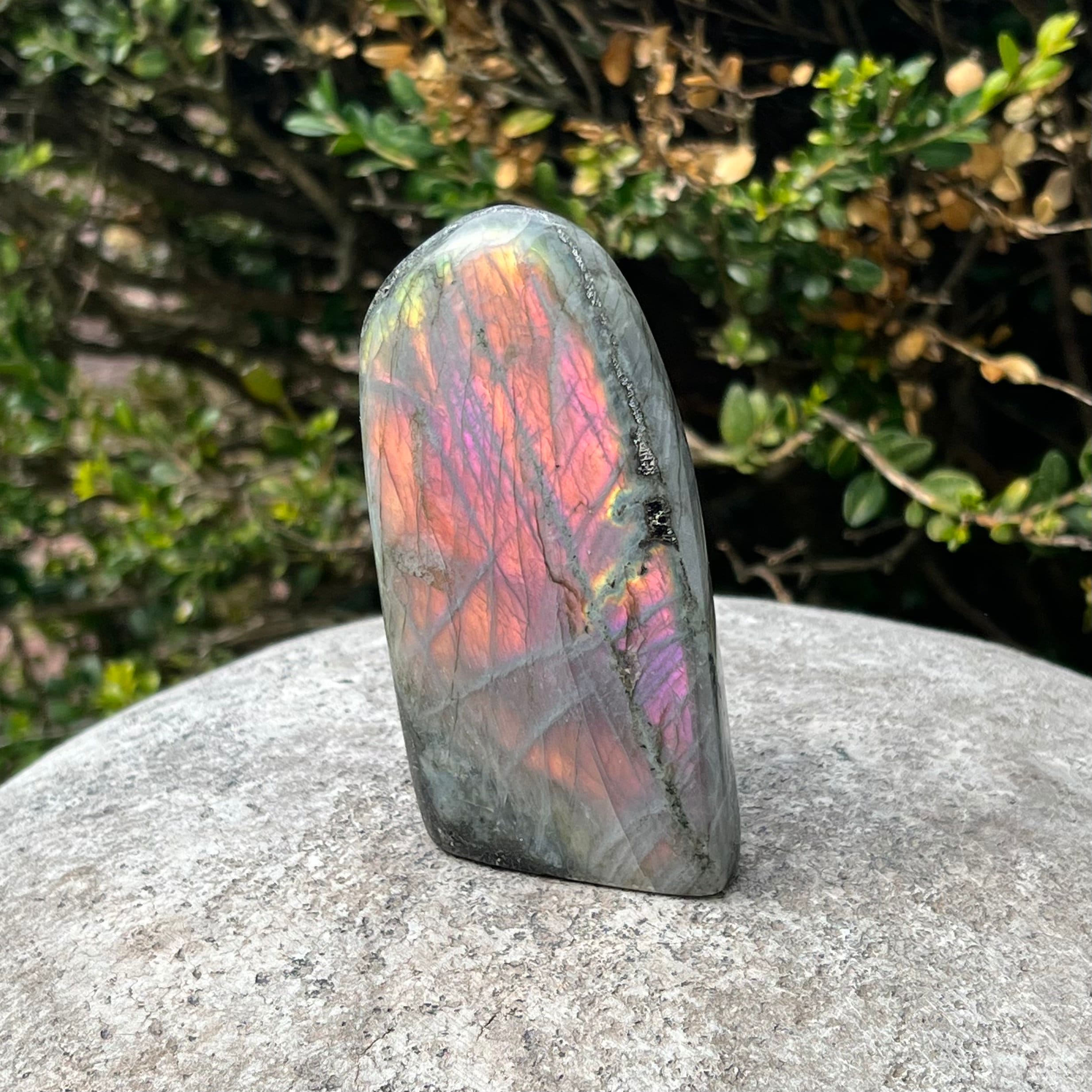 Labradorite Free Form / Vibrant Pink Purple Orange Flash - Etsy
