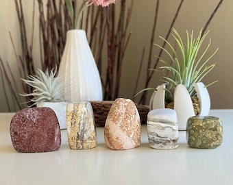 May include: Six polished stones of varying shapes and colours. The stones feature shades of red, beige, grey, and green, with unique patterns and textures. The stones are arranged on a white surface, with decorative plants and vases in the background.