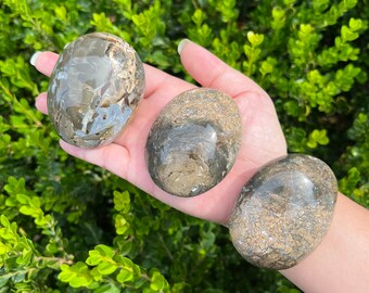 You Choose / Ibis Jasper Palm Stone / Brecciated Jasper / Madagascar