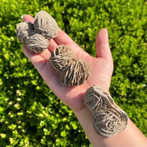 You Choose / Desert Rose Cluster / Gypsum Rose / Selenite Rose / Sand Rose