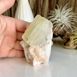 May include: A cluster of light green celestite crystals with a pink and white base. The crystals are translucent and have a smooth, glassy surface.