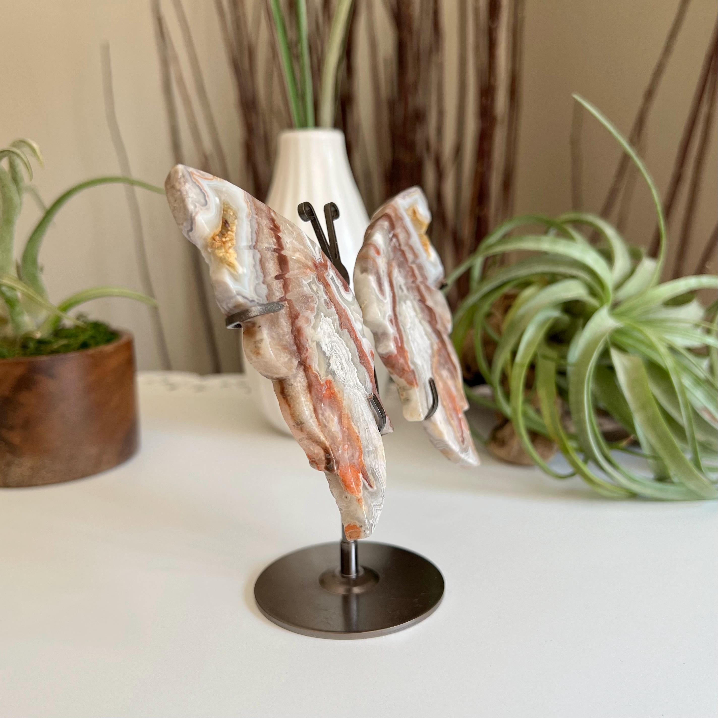 Crazy Lace Agate Butterfly With Stand / Mexican Crazy Lace Agate