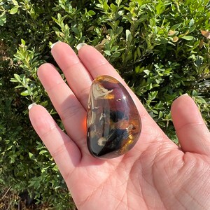 May include: A large, smooth, amber-colored gemstone with brown, white, and black inclusions. The gemstone is polished and has a rounded, oval shape.