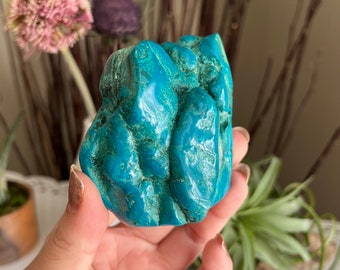 Chrysocolla with Dendritic Inclusions / Polished Specimen / Africa
