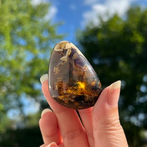 May include: A teardrop-shaped piece of amber with inclusions of plant matter. The amber is a deep golden brown color with a glossy finish.