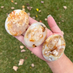 You Choose / Carnelian Flower Agate Palm Stone