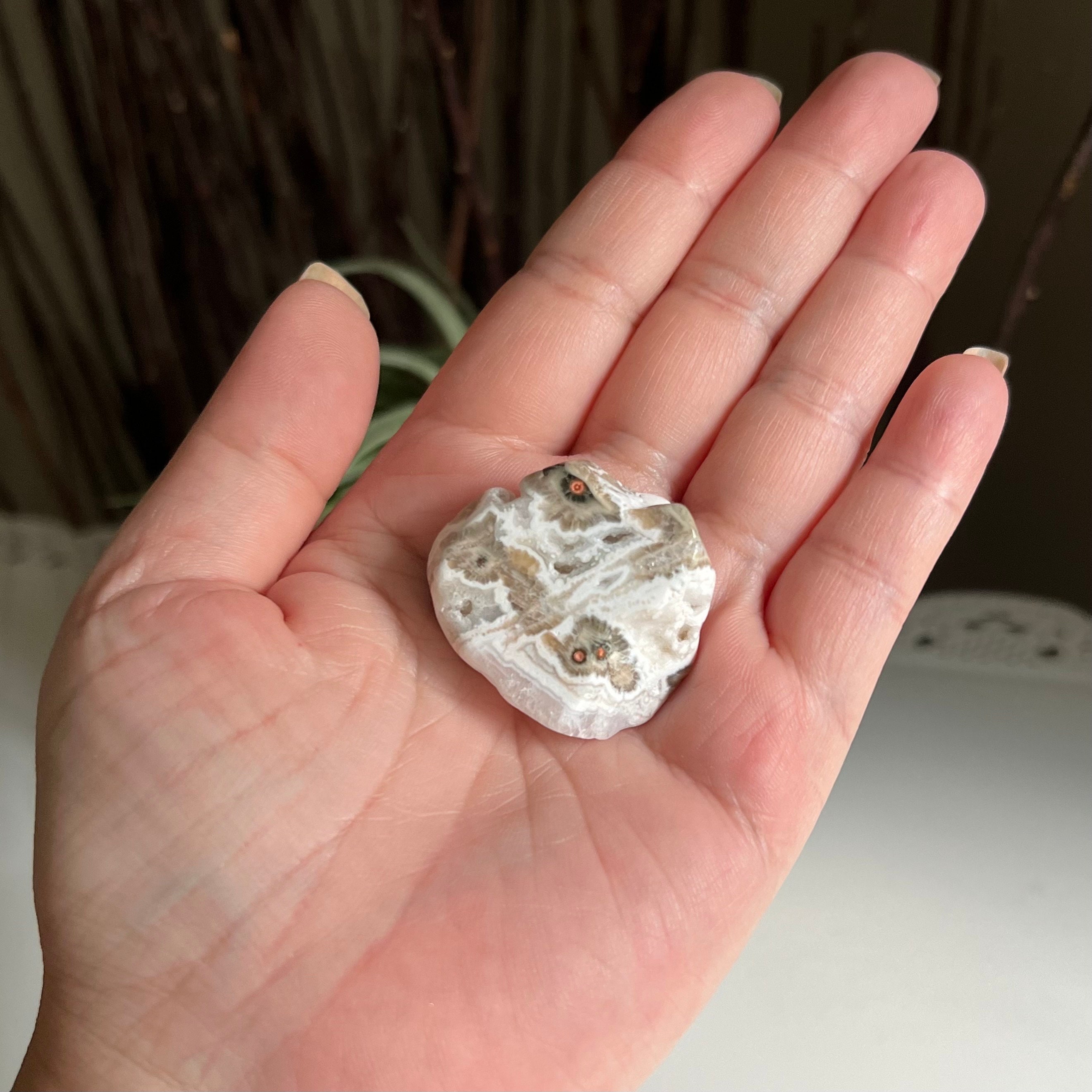 【SALE‼️】【超希少‼️】オールドストック　オーシャンジャスパー オールドストック オーシャンジャスパー - Etsy 日本