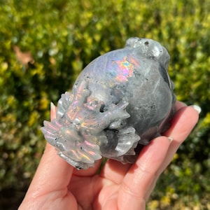 Labradorite Dragon Turtle / Colorful Flash Labradorite